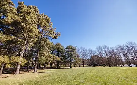 Canberra city blending modern design, innovation, and nature in the heart of Australia’s capital.