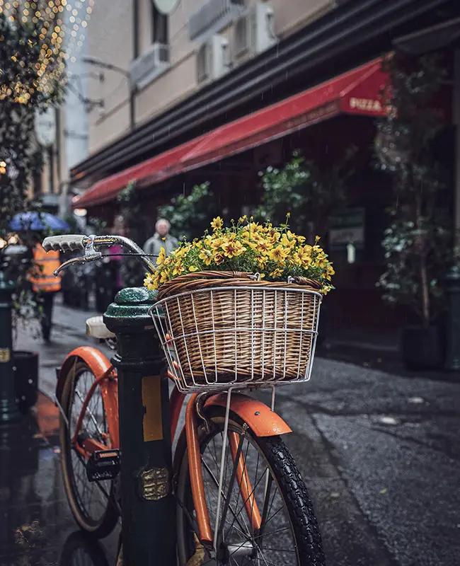 Melbourne's genuine professional advancement without compromising lifestyle quality