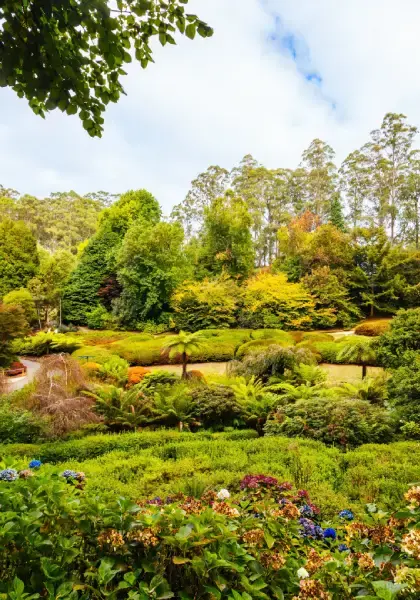 Local news gem image