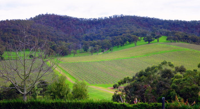 Seasonal event image