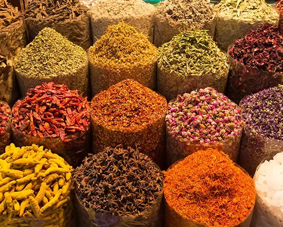 Play lifestyle image