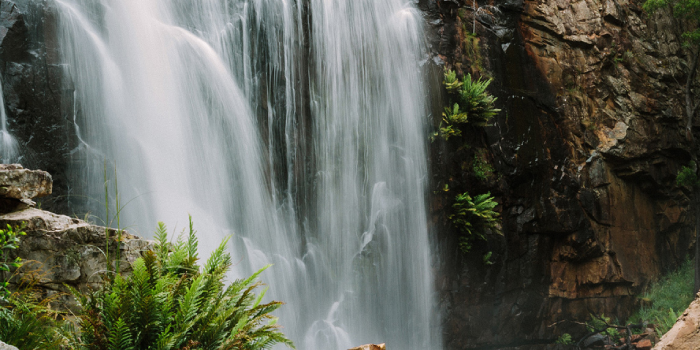 Seasonal event image