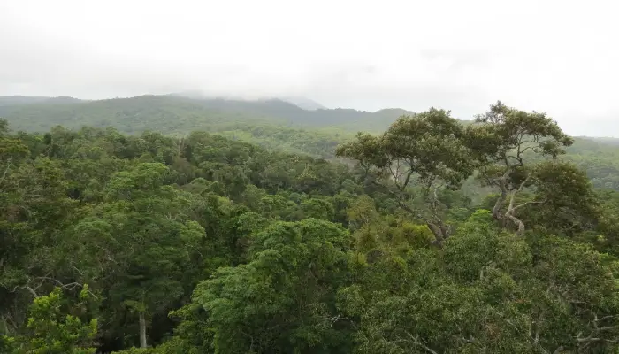 Adventure activity image