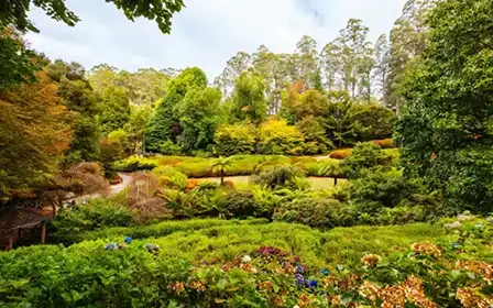 Coastal view of Illawarra, showcasing its blend of community, innovation, and natural beauty.