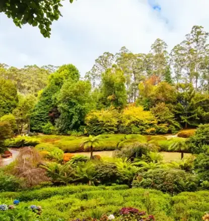 Serene view of Lake Wendouree and the Botanic Gardens in Ballarat, featuring lush green spaces and recreational areas.