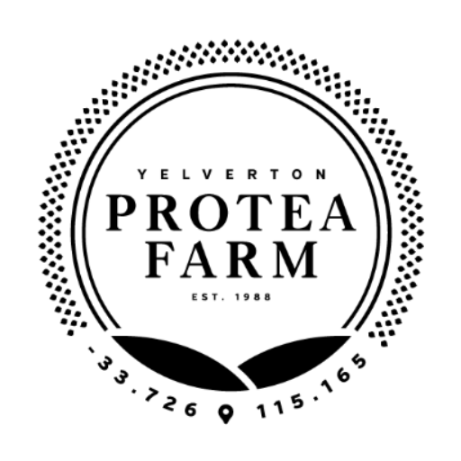 Yelverton Protea Farm logo