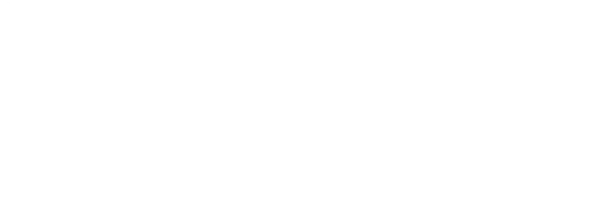 WorkinTownsville footer logo